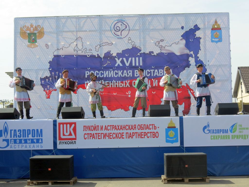 Астраханский центр народной культуры принял участие в  18-ой Российской выставке племенных овец и коз