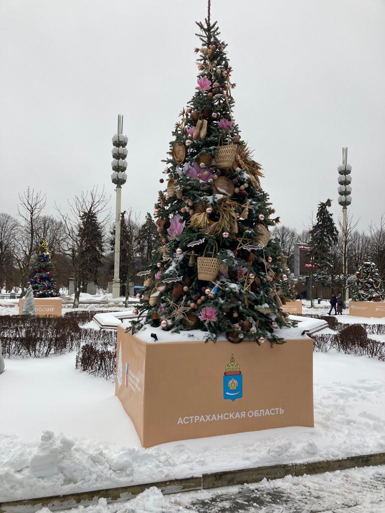 Астраханская область представила свою елку в Москве